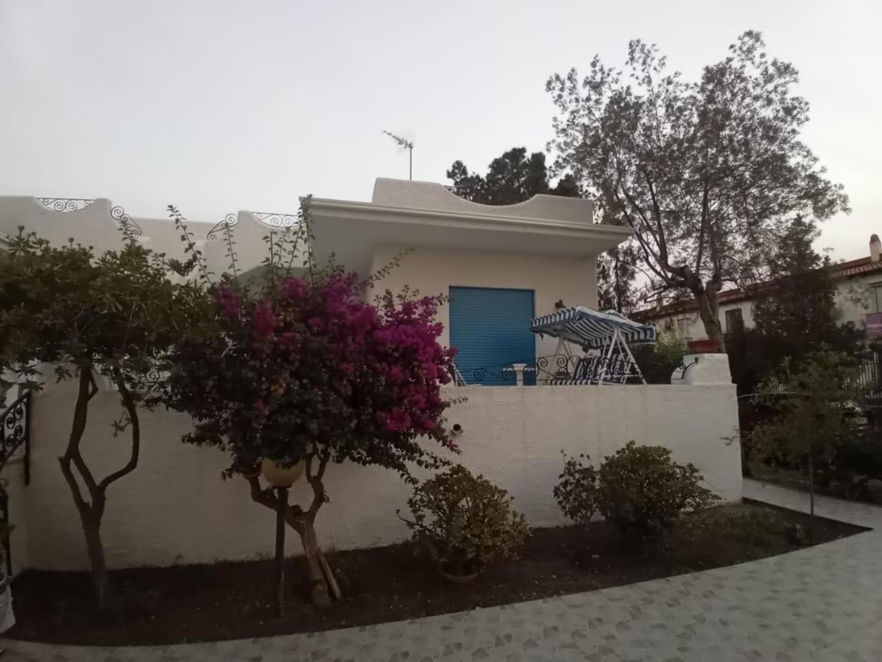 אוליברי Villa Bouganville מראה חיצוני תמונה